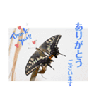 nanda 虫さん（個別スタンプ：9）