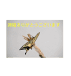 nanda 虫さん（個別スタンプ：10）