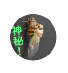 nanda 虫さん（個別スタンプ：13）