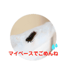 nanda 虫さん（個別スタンプ：14）