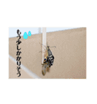 nanda 虫さん（個別スタンプ：17）