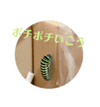 nanda 虫さん（個別スタンプ：22）