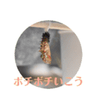 nanda 虫さん（個別スタンプ：23）