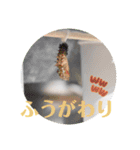 nanda 虫さん（個別スタンプ：24）
