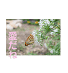 nanda 虫さん（個別スタンプ：27）