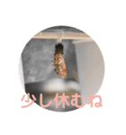 nanda 虫さん（個別スタンプ：28）