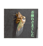nanda 虫さん（個別スタンプ：32）