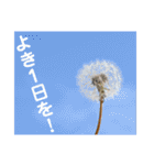 nanda 虫さん（個別スタンプ：39）