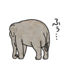 象さんのスタンプ！（個別スタンプ：28）
