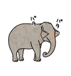 象さんのスタンプ！（個別スタンプ：36）