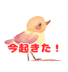 愛らしい動物の表情（個別スタンプ：2）