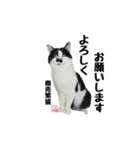 風鈴茶屋ママLINEスタンプ（個別スタンプ：8）