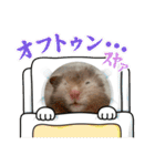 ぼんじりのまったり日記（個別スタンプ：3）