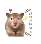 ぼんじりのまったり日記（個別スタンプ：5）