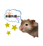 ぼんじりのまったり日記（個別スタンプ：7）