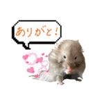 ぼんじりのまったり日記（個別スタンプ：8）