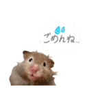 ぼんじりのまったり日記（個別スタンプ：9）