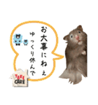 ぼんじりのまったり日記（個別スタンプ：11）