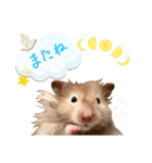 ぼんじりのまったり日記（個別スタンプ：12）