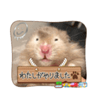 ぼんじりのまったり日記（個別スタンプ：17）
