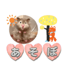 ぼんじりのまったり日記（個別スタンプ：21）