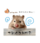 ぼんじりのまったり日記（個別スタンプ：26）
