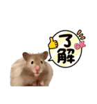 ぼんじりのまったり日記（個別スタンプ：27）
