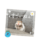 ぼんじりのまったり日記（個別スタンプ：28）
