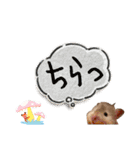 ぼんじりのまったり日記（個別スタンプ：30）