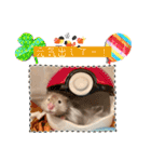 ぼんじりのまったり日記（個別スタンプ：31）
