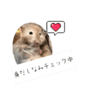 ぼんじりのまったり日記（個別スタンプ：32）