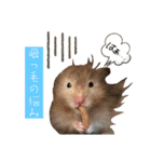 ぼんじりのまったり日記（個別スタンプ：37）