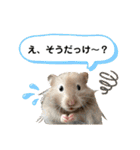 ぼんじりのまったり日記（個別スタンプ：38）