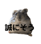 ギャグで和ませてくれるミッシェル（個別スタンプ：9）