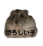 ギャグで和ませてくれるミッシェル（個別スタンプ：10）