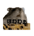 ギャグで和ませてくれるミッシェル（個別スタンプ：17）