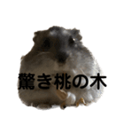 ギャグで和ませてくれるミッシェル（個別スタンプ：21）