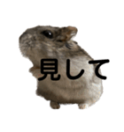 ギャグで和ませてくれるミッシェル（個別スタンプ：29）