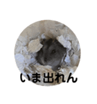 ギャグで和ませてくれるミッシェル（個別スタンプ：38）