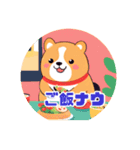 いろんな柴犬 44（個別スタンプ：14）