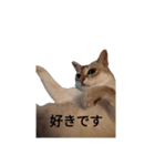 はるpart4（個別スタンプ：7）