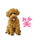 ふうわとリリィ（個別スタンプ：3）