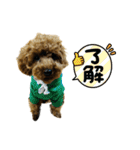 ふうわとリリィ（個別スタンプ：5）