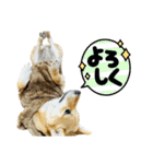 ふうわとリリィ（個別スタンプ：14）