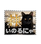 友達と使うスタンプにゃのだ（個別スタンプ：1）