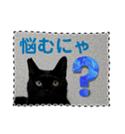 友達と使うスタンプにゃのだ（個別スタンプ：6）