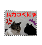 友達と使うスタンプにゃのだ（個別スタンプ：22）