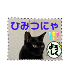 友達と使うスタンプにゃのだ（個別スタンプ：35）