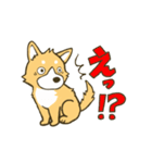 ひとなつっこい柴犬（個別スタンプ：2）