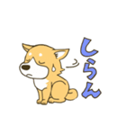 ひとなつっこい柴犬（個別スタンプ：3）